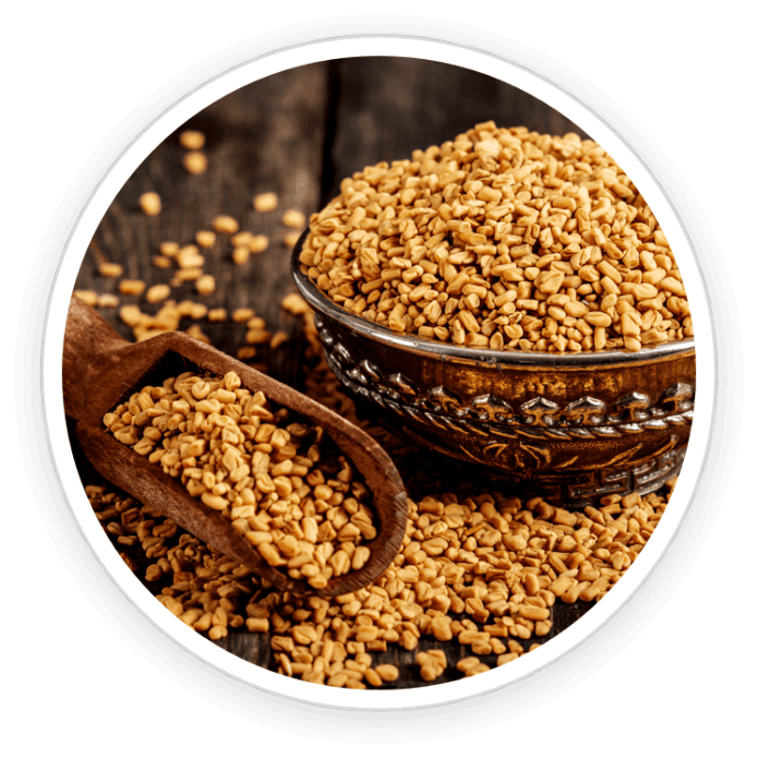 Fenugreek Extract
