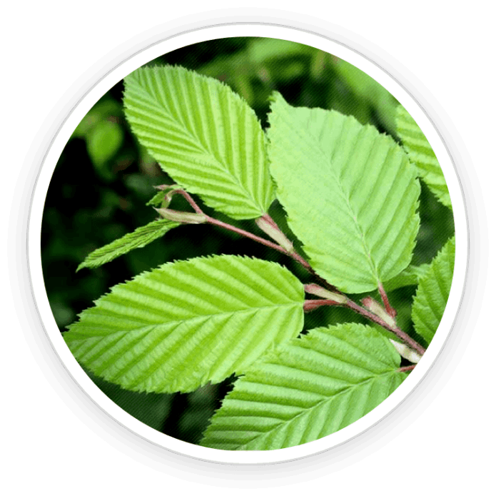 Additional Vitamins & Minerals